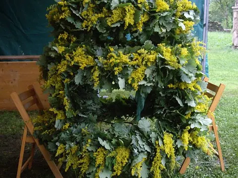 Kronenfest Kerz – Fertig gebundene Krone, aus Eichenlaub und Johannisblume