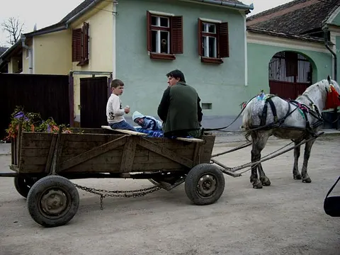 Palmzweige Tragen – ...oder mit dem Pferdewagen